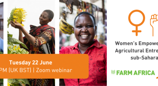 Women's Empowerment through Agricultural Entrepreneurship in sub-Saharan Africa.
